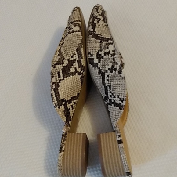 Express Mule 9 - Picture 4 of 6